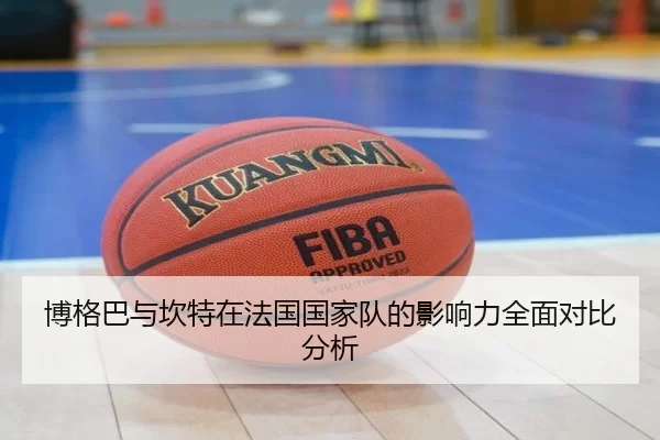 博格巴与坎特在法国国家队的影响力全面对比分析